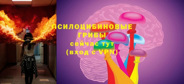 прущие грибы Белоозёрский