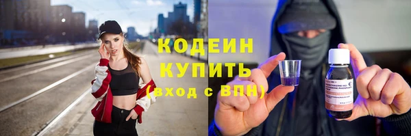 шишки Белокуриха