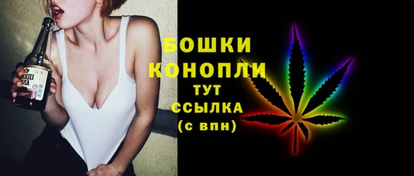 прущие грибы Белоозёрский
